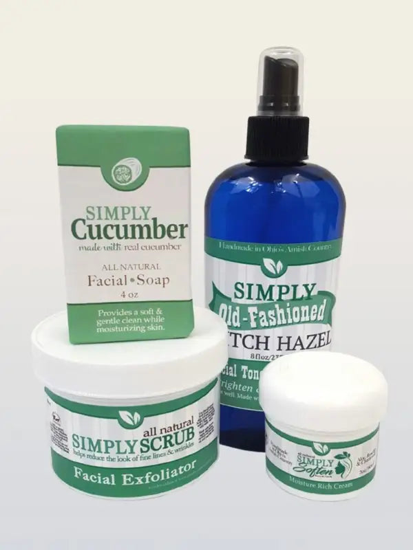 Simply Skincare System - Normal to Dry Skin